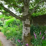 Couette-café Willowhill House P43 Yk06