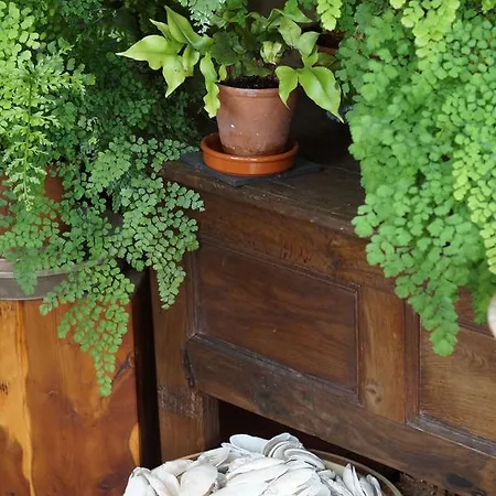 Willowhill House P43 Yk06 فندق مبيت وإفطار 3*