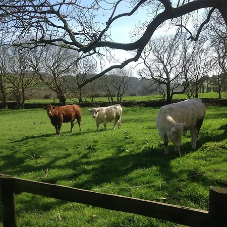 Willowhill House P43 Yk06 3*