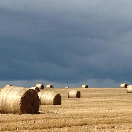 Willowhill House P43 Yk06 Bed & Breakfast 3*