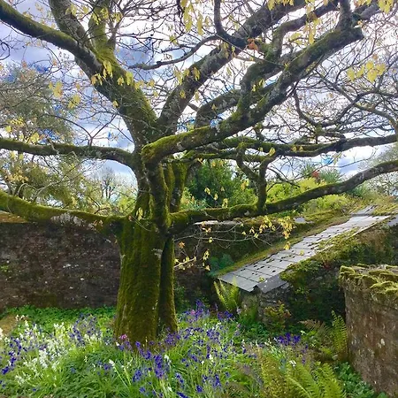 Willowhill House P43 Yk06 Bed & Breakfast