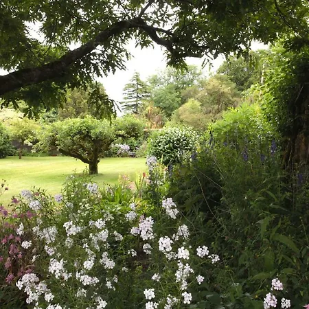 Couette-café Willowhill House P43 Yk06 3*