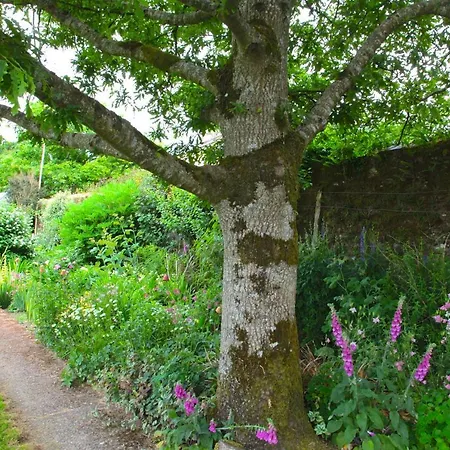 Bed & Breakfast Willowhill House P43 Yk06