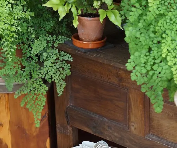 Willowhill House P43 Yk06 Bed & Breakfast 3*