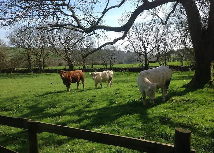 Willowhill House P43 Yk06 3*