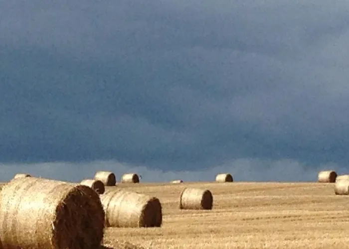 Willowhill House P43 Yk06 Bed & Breakfast 3*