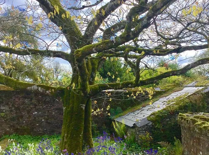 Willowhill House P43 Yk06 Bed & Breakfast