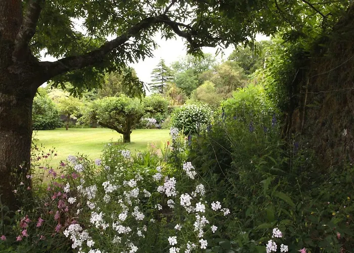 Bed & Breakfast Willowhill House P43 Yk06 3*