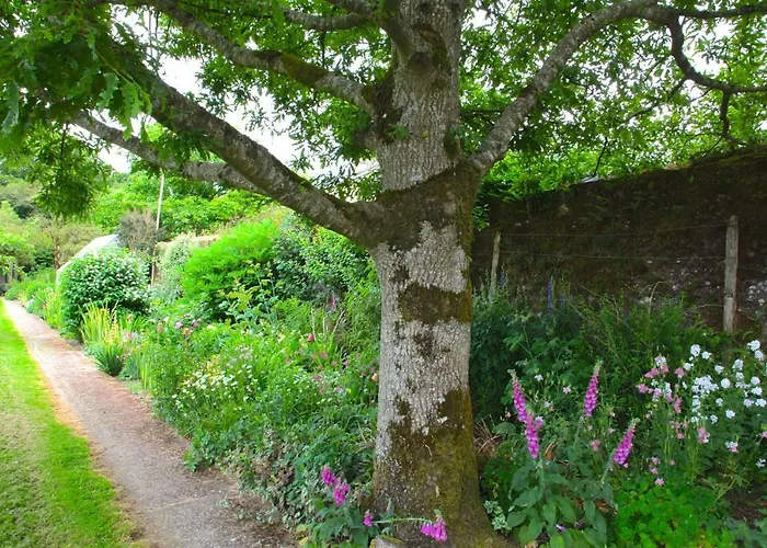 Bed & Breakfast Willowhill House P43 Yk06